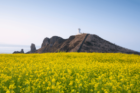 Jeju 2D1N Private Tour Package