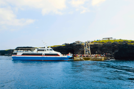 Jeju Cruise Shore Excursion Private Tour