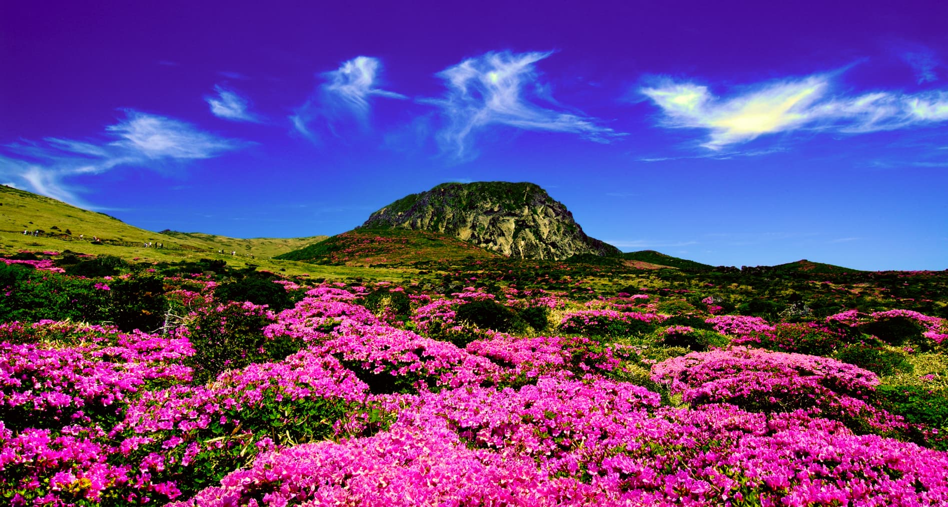 Jeju Small-Group UNESCO Day Tour – South Course