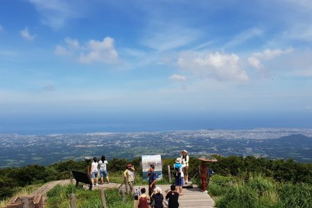 Jeju Small-Group UNESCO Day Tour – South Course