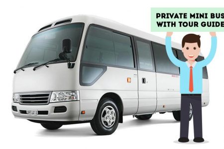 Private Mini Bus Tour with Guide (Group Price)